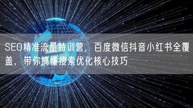 SEO精准流量特训营,百度微信抖音小红书全覆盖,带你搞懂搜索优化核心技巧