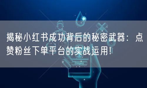 揭秘小红书成功背后的秘密武器：点赞粉丝下单平台的实战运用！