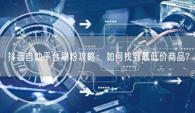 抖音自助平台刷粉攻略:如何找到最低价商品?