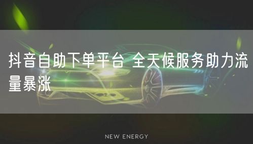 抖音自助下单平台 全天候服务助力流量暴涨