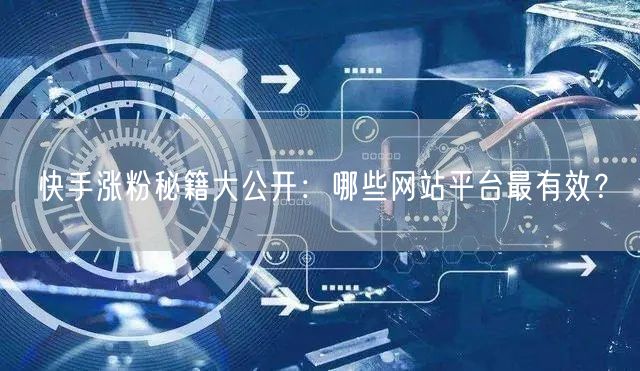 快手涨粉秘籍大公开:哪些网站平台最有效?