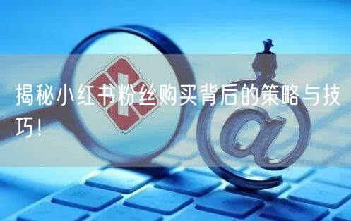 揭秘小红书粉丝购买背后的策略与技巧!