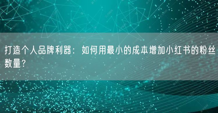 打造个人品牌利器:如何用最小的成本增加小红书的粉丝数量?