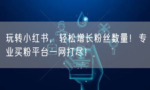 玩转小红书，轻松增长粉丝数量！专业买粉平台一网打尽！