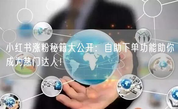 小红书涨粉秘籍大公开：自助下单功能助你成为热门达人！